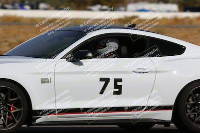 media/Mar-16-2025-Speed Ventures CVR (Sun) [[04681430d3]]/5-Purple Group/Session 1 (Turn 14)/